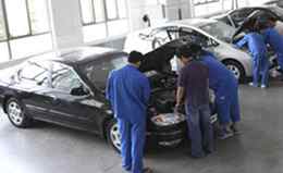 The automobile industry